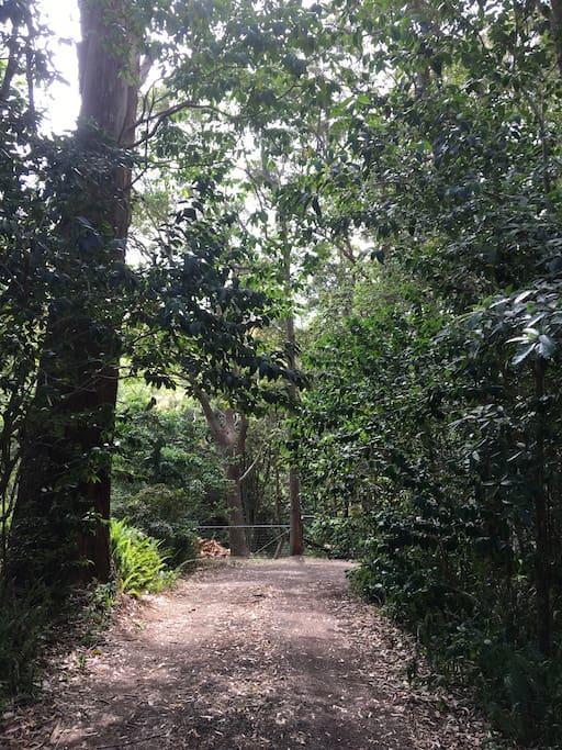 Avoca Beach And Bush المظهر الخارجي الصورة