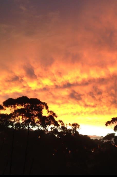 Avoca Beach And Bush المظهر الخارجي الصورة