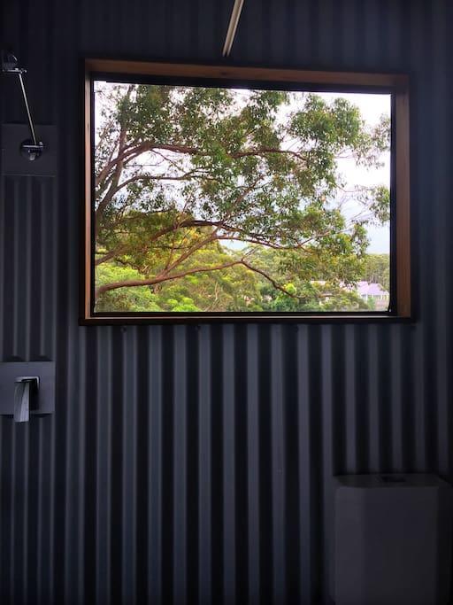 Avoca Beach And Bush المظهر الخارجي الصورة