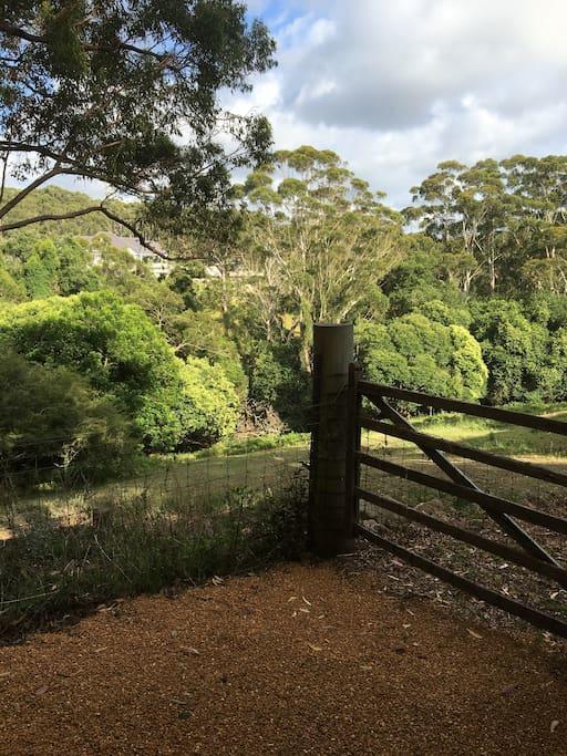 Avoca Beach And Bush المظهر الخارجي الصورة